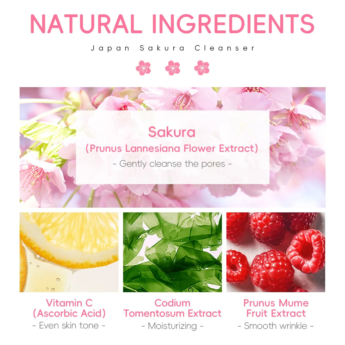 Sakura Facial Cleanser – Oil Control, Pore Cleanse & Moisture Facial Cleanser Qme
