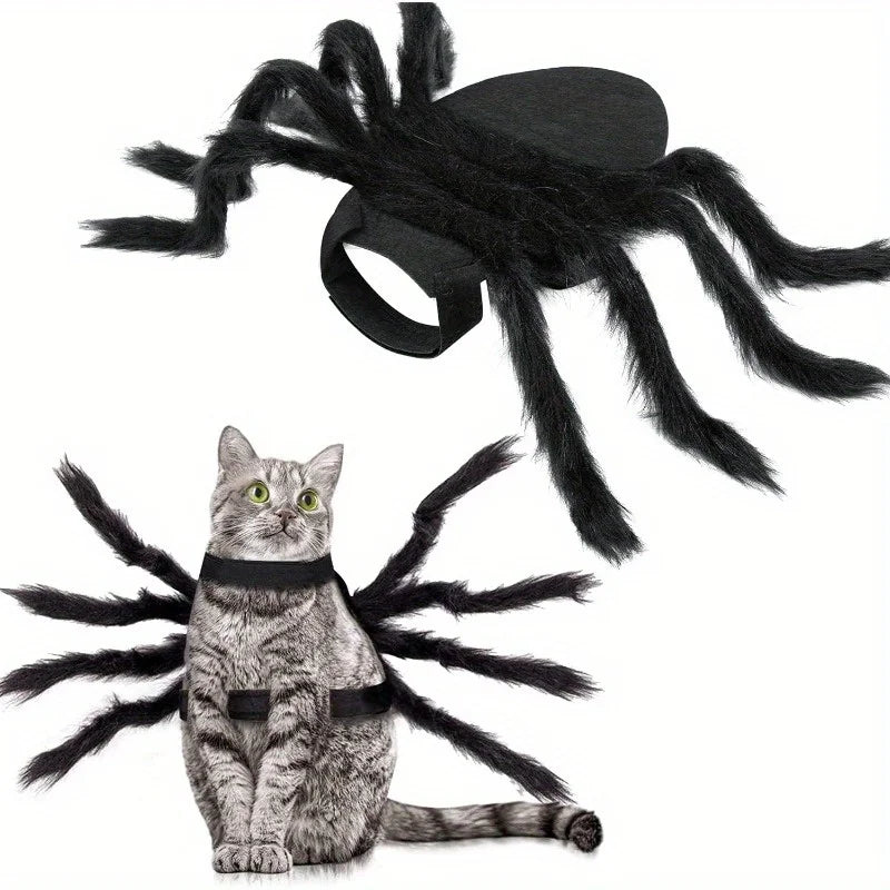 Halloween Spider Costume for Small Dogs & Cats – Black Pet Halloween Costume Qme black S
