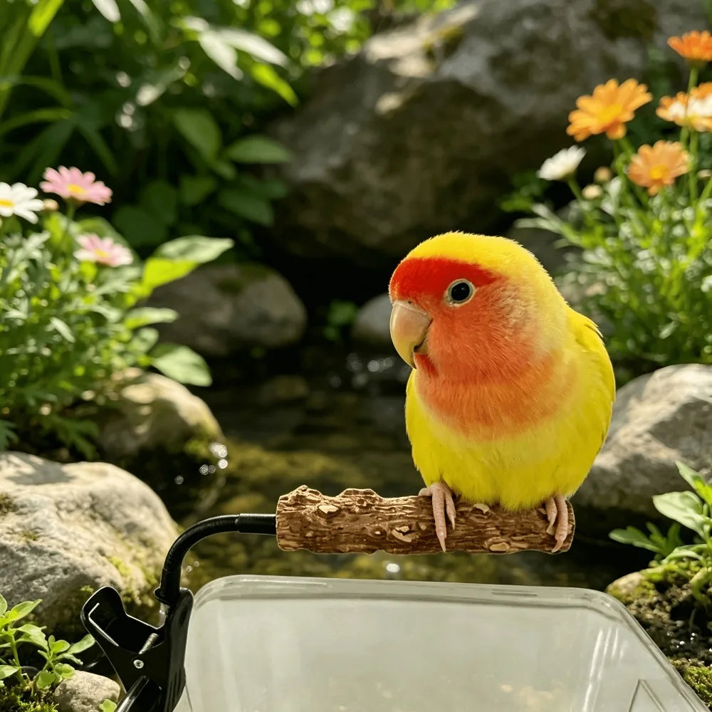 Clip-On Bird Potty Training Perch | Adjustable Natural Wood Bird Training Perch Qme