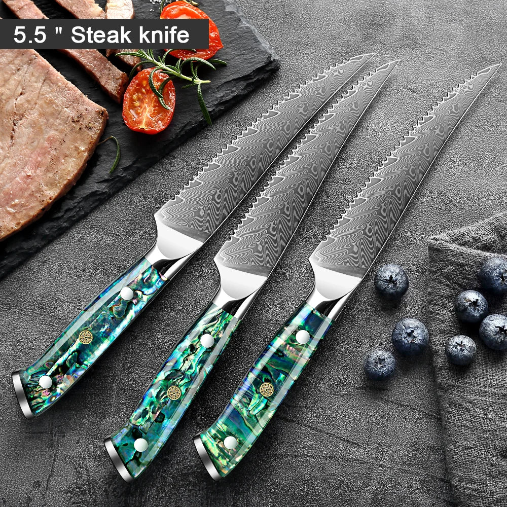 XITUO 67-Layer Damascus Steel Steak Knives – Abalone Handle Damascus Steak Knife Set Qst