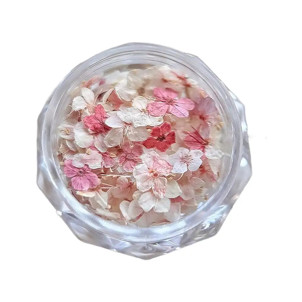 3D Dried Flower Nail Art Stickers – Floral Decal Mix Nail Art Stickers Qme B CN
