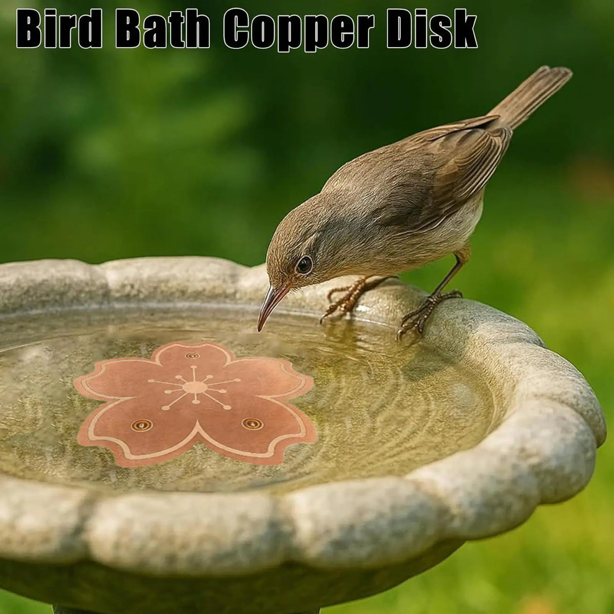 Copper Bird Bath Purifier Disk – Natural Water Cleaner Plate Bird Bath Accessory Qme
