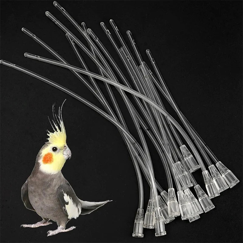 Silicone Bird Gavage Feeding Tubes for Parrots – 10pcs Bird Feeding Tube Qme