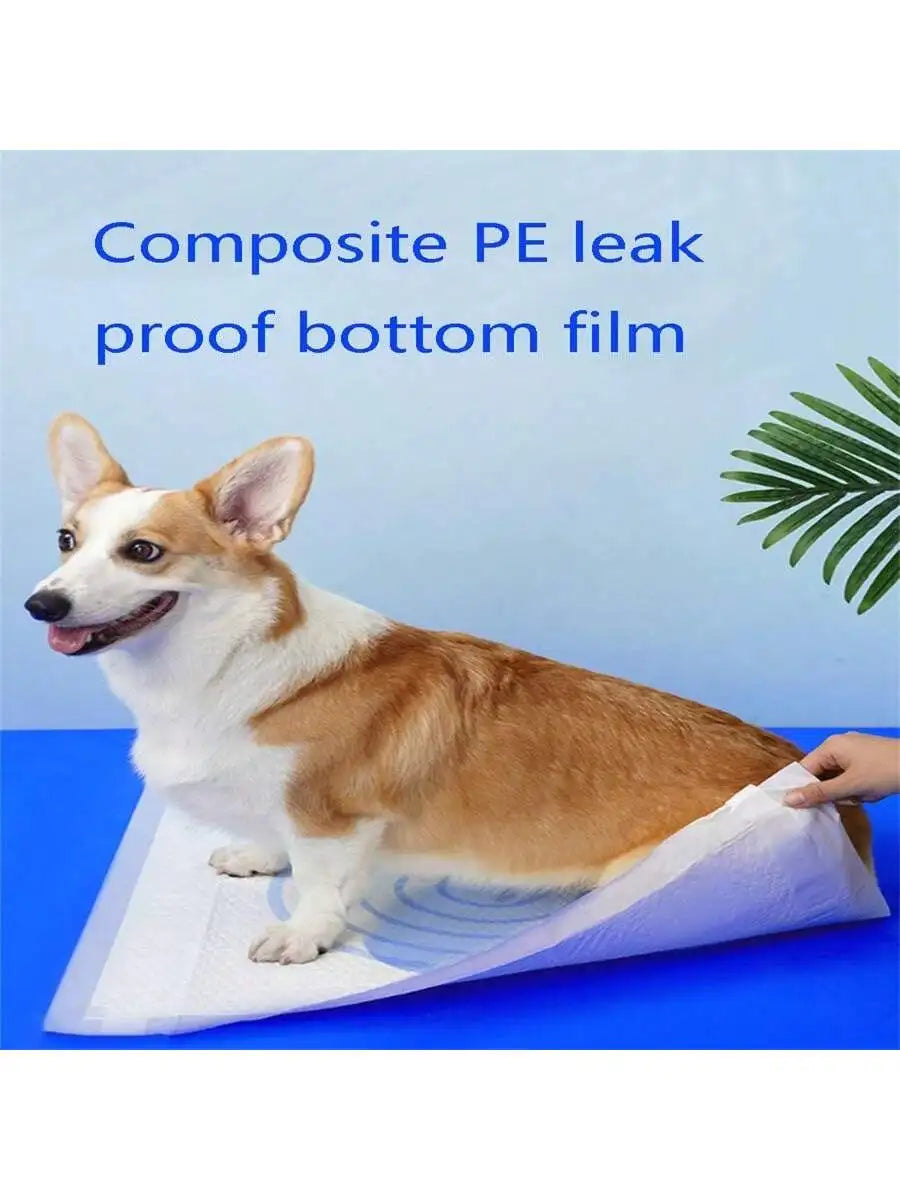 Disposable Dog Diaper Pads – Highly Absorbent & Leak Proof Dog Diaper Pads Qme M 5pcs