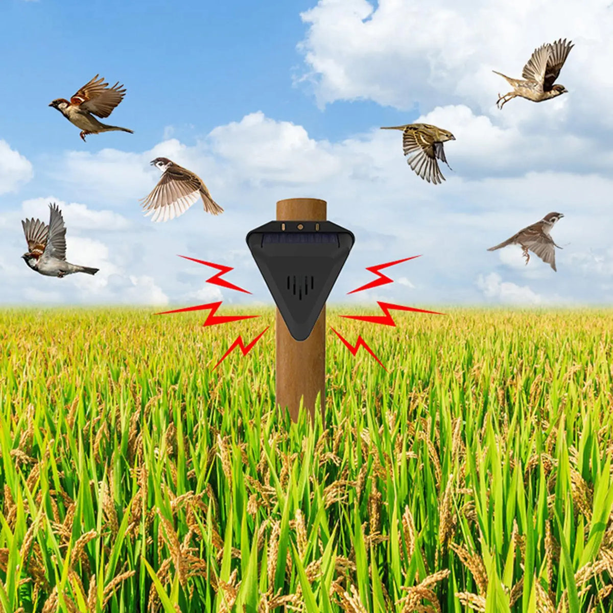 Solar Bird Repeller Outdoor – 13 Sound Modes, Waterproof Solar Animal Repeller Qme