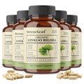 VITALXTRA Ginkgo Biloba Capsules – Focus, Memory & Eye Health Herbal Supplement Qst 60 count-5 bottle