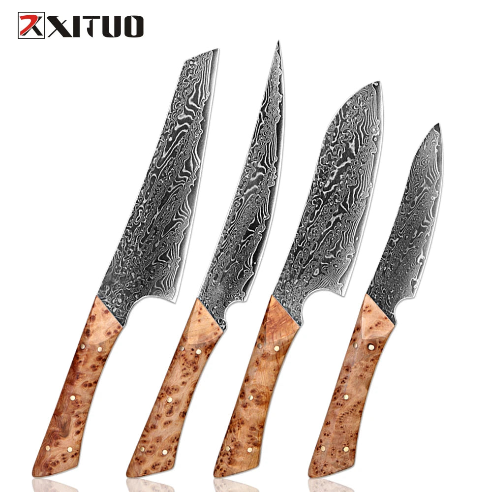 XITUO Damascus Steel Kitchen Knife Set – Sharp Pakkawood Handle Kitchen Knife Set Qst 4PCS Knife
