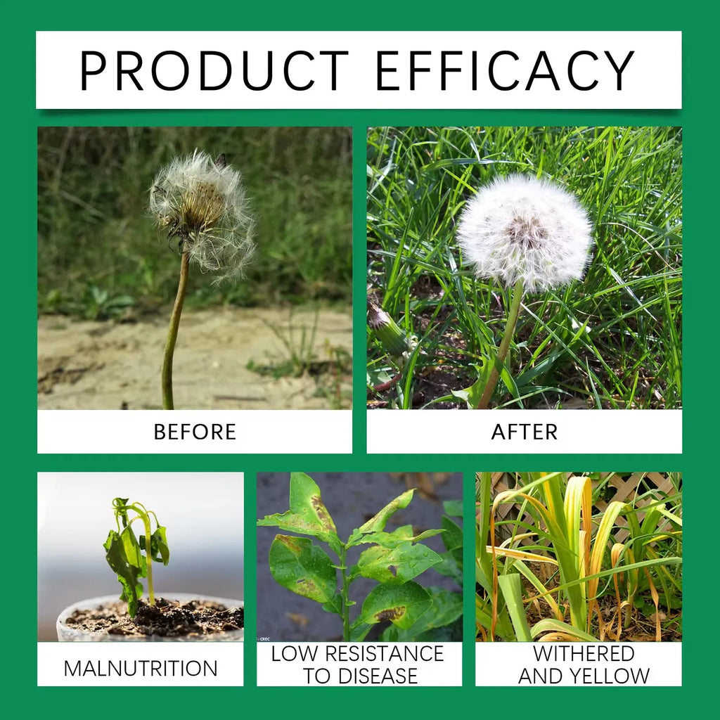 MOONSPRY Succulent Root Booster Liquid Plant Nutrient Solution Liquid Plant Nutrient Qme