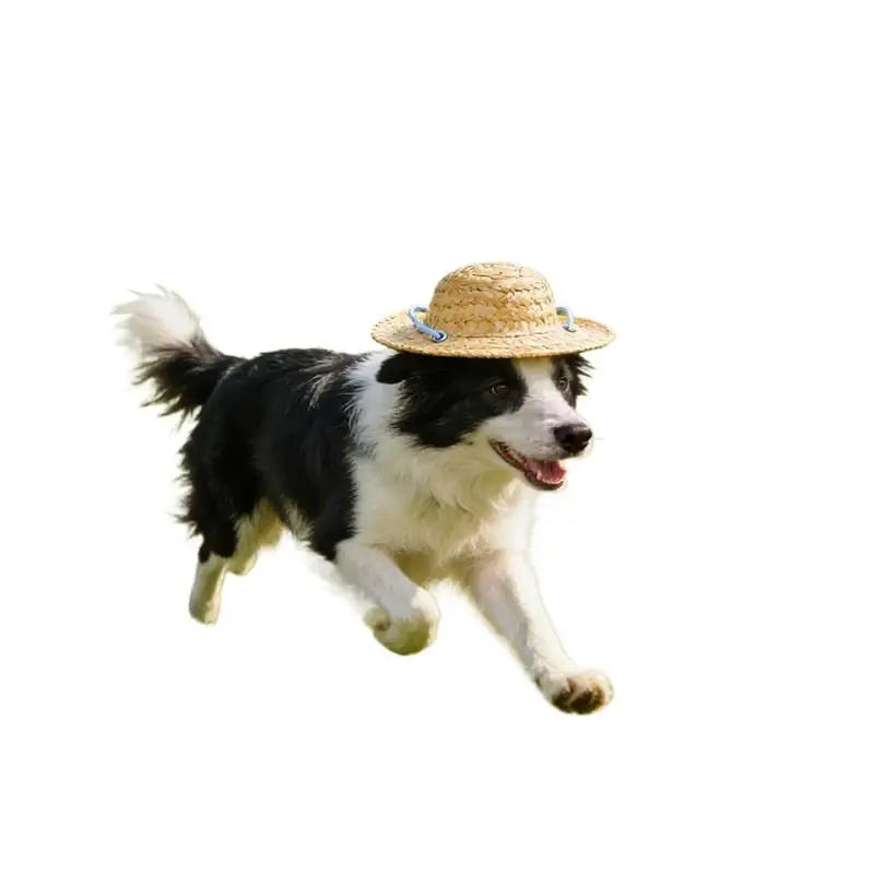 Adjustable Woven Pet Hat – Dog & Cat Photo Prop Sunshade Cap Pet Costume Hat Qme