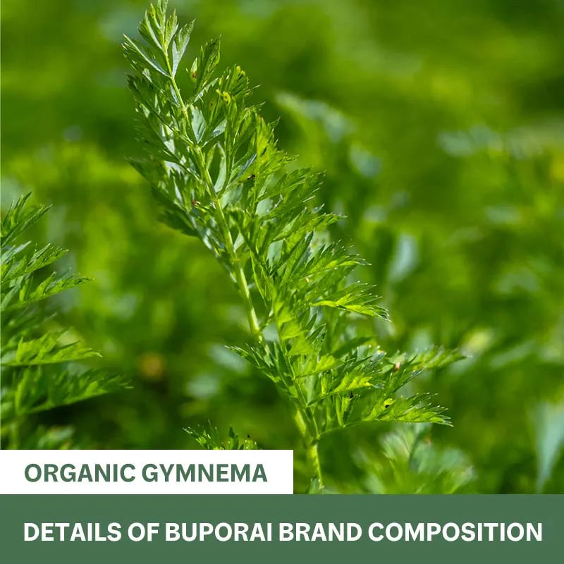Organic Gymnema Sylvestre Capsules – Non-GMO & USDA Organic Herbal Supplement Qst
