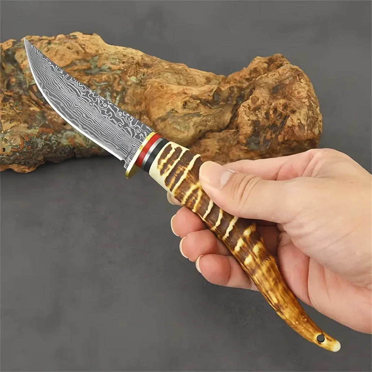 PLYS Outdoor Camping Knife – Sharp Stainless Steel Fruit & Meat Camping Knife Qst
