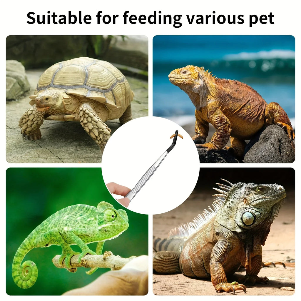 Reptile Feeding Tongs Rubber Tips – Flat & Curved 2-Pack Reptile Feeding Tongs Qme