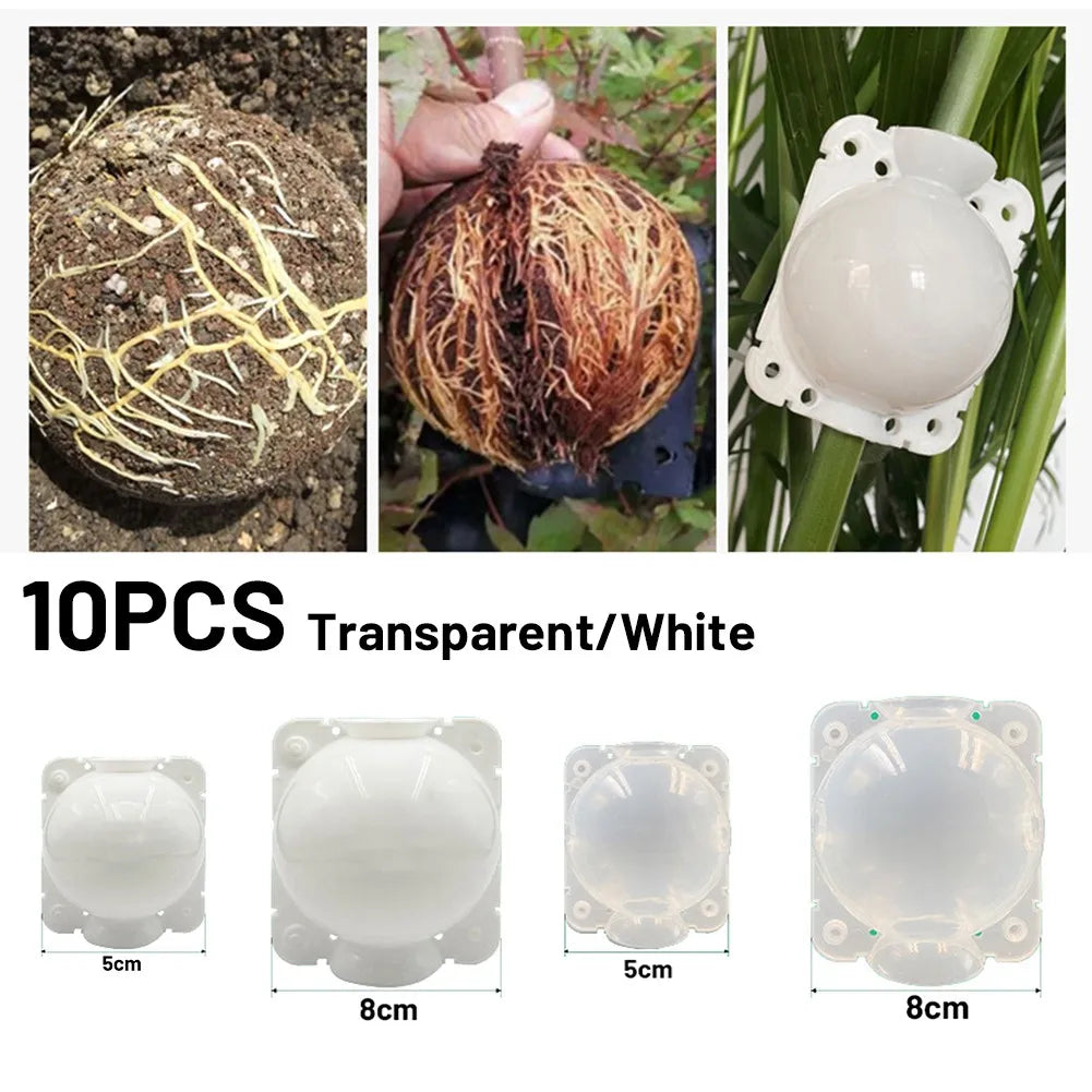 Plant Rooting Grafting Ball Box – Air Layering Propagation Plant Propagation Tool Qme