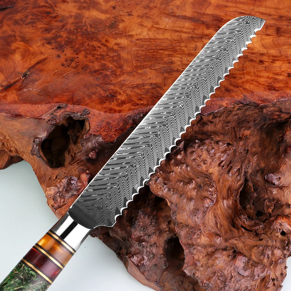 Xituo 8" Damascus Steel Serrated Bread Knife – Sourdough Slicer Serrated Bread Knife Qst