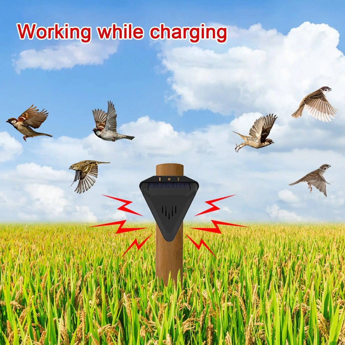 Solar Bird Repeller Outdoor – 13 Sound Modes, Waterproof Solar Animal Repeller Qme