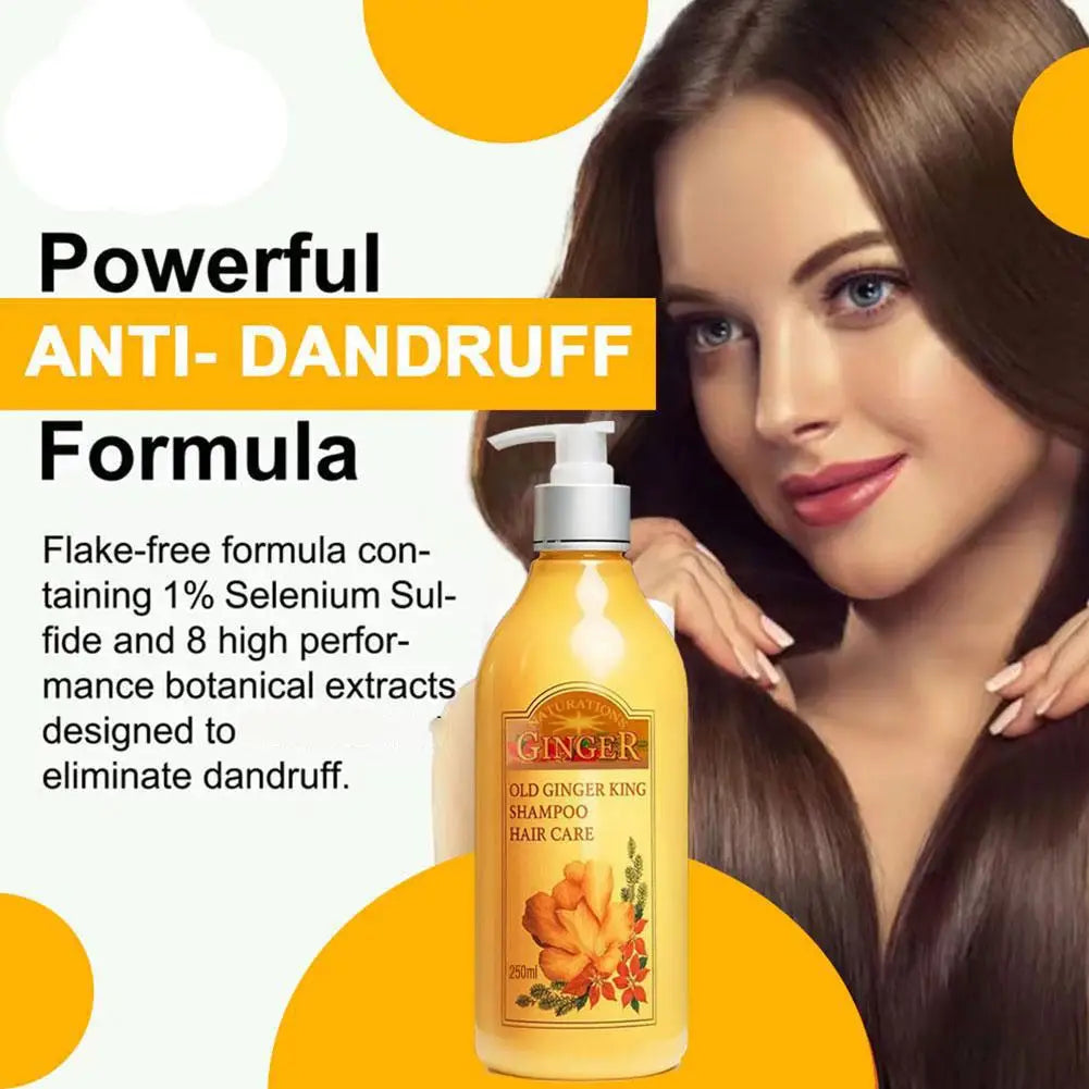 Old Ginger Juice Shampoo – Professional Scalp Treatment 1L Scalp Treatment Shampoo Qme