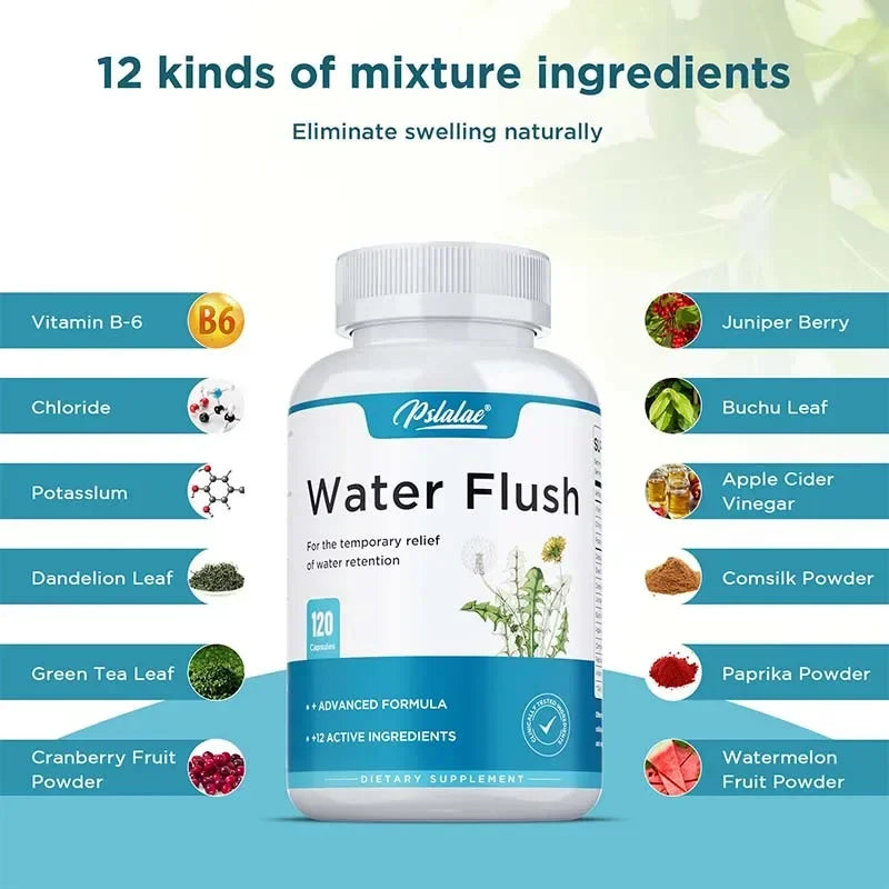 Water Balance Supplement – Green Tea, Dandelion & Cranberry Wellness Supplement Qst