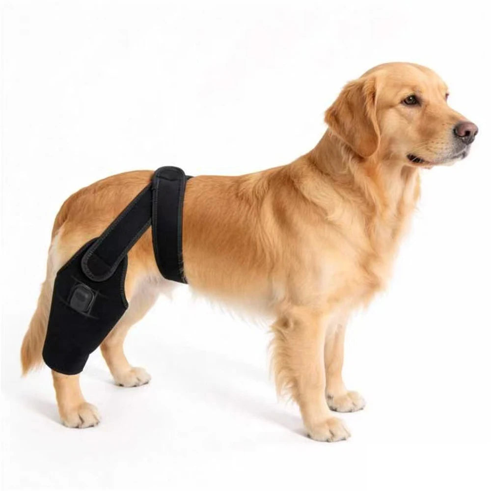 Pet Dog Red Light Therapy Brace 660nm 850nm Hip & Joint Wrap Pet Light Therapy Wrap Qst