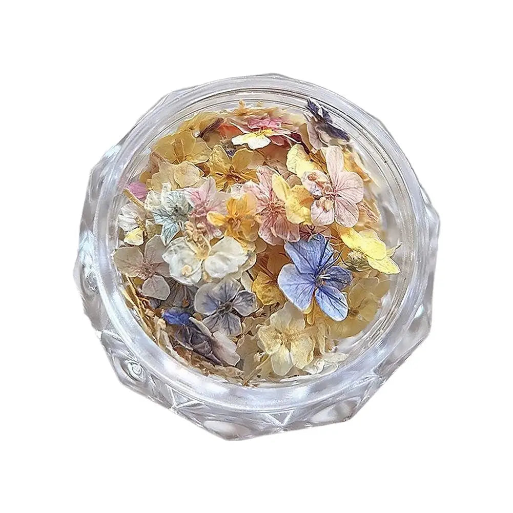 3D Dried Flower Nail Art Stickers – Floral Decal Mix Nail Art Stickers Qme A CN