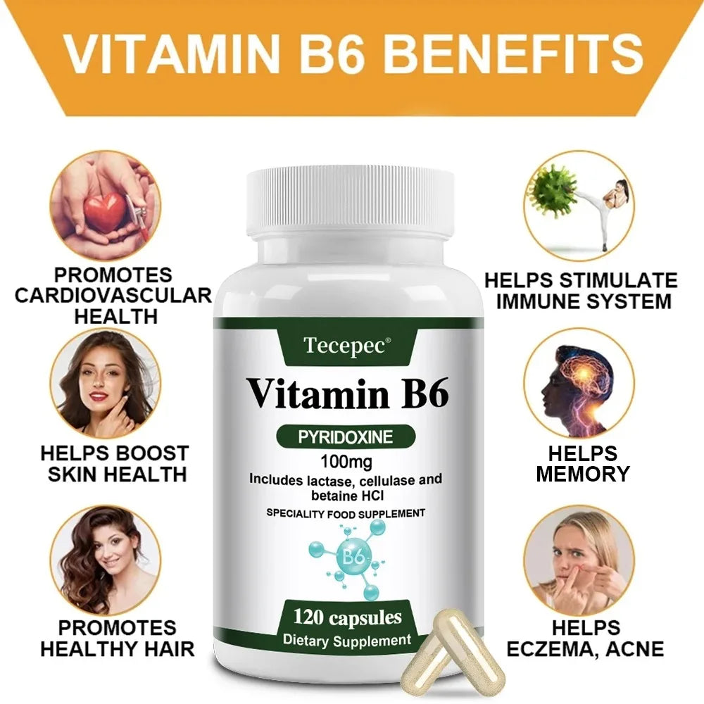 ZENVITALIZE Vitamin B6 Capsules – Non-GMO, Vegetarian Vitamin B6 Supplement Qst