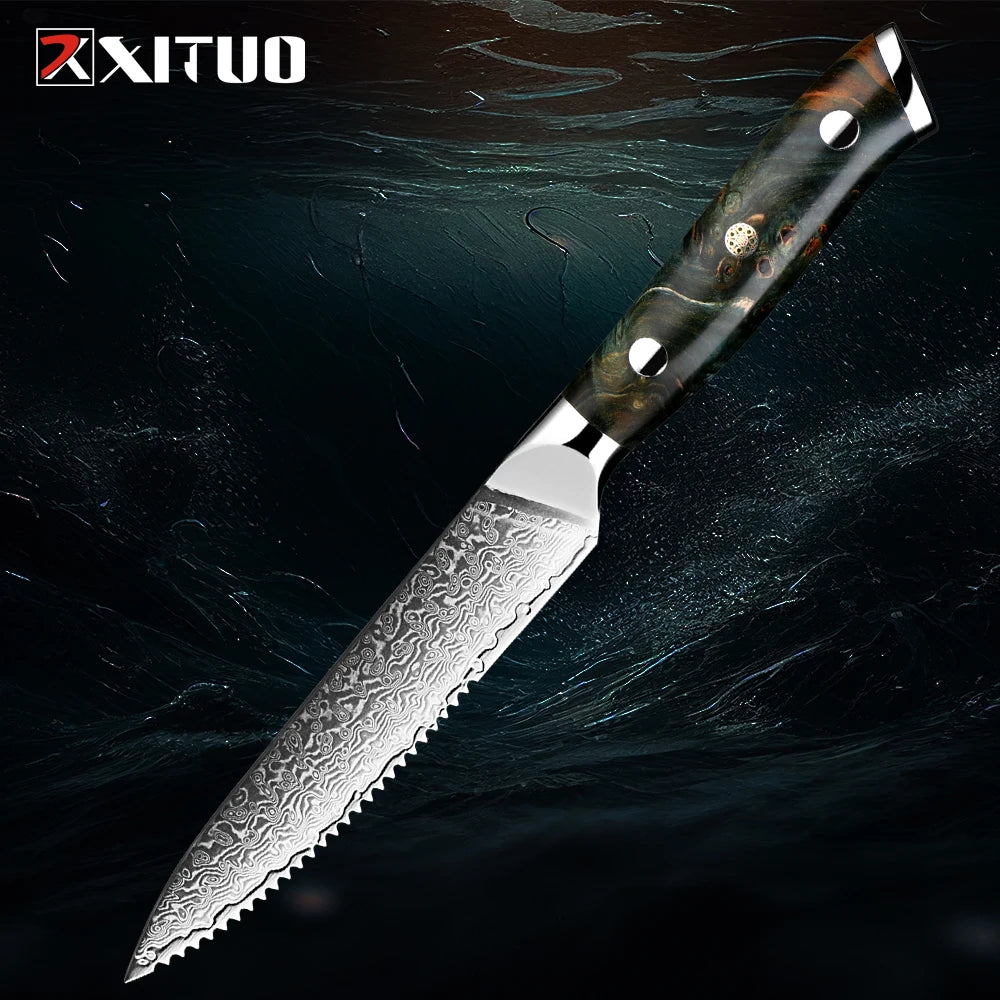 XITUO Damascus Kitchen Knife Set 1-6PCS – Santoku & Boning Kitchen Knife Set Qst Steak Knife