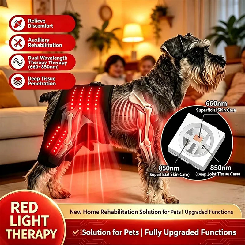 88 LED Pet Red Light Therapy Pad – 660nm & 850nm for Dogs Pet Light Therapy Pad Qst