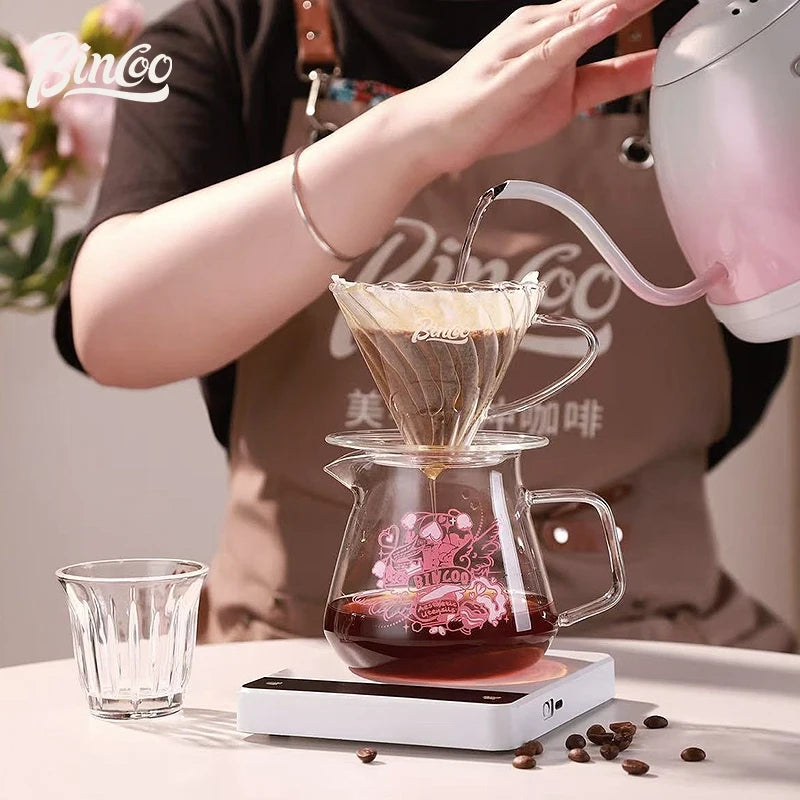 Bincoo Heartbeat Glass Pour Over Coffee Set – Borosilicate Pour Over Coffee Set Qst