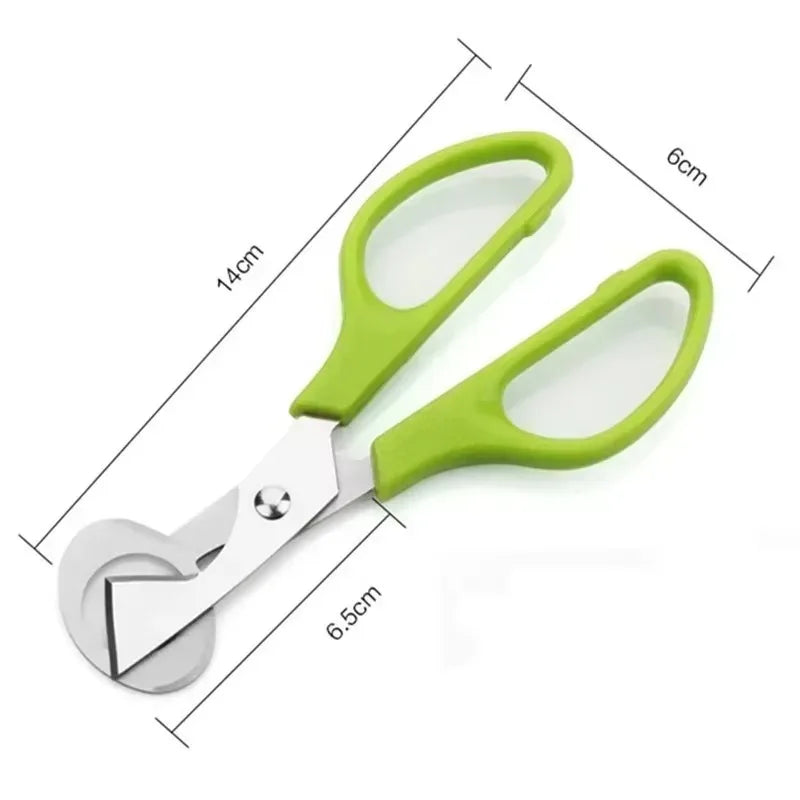 Quail Egg Scissors Cutter Opener – Stainless Steel Kitchen Tool Egg Scissors Cutter Qme