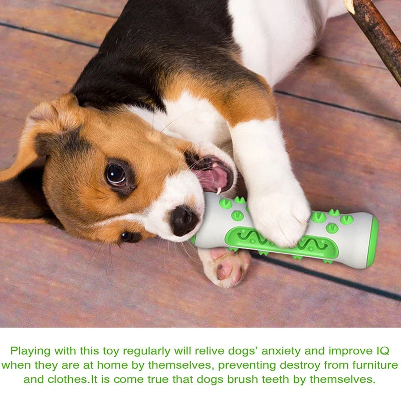 Dog Toothbrush Chew Toy – Safe TPR Dental Cleaning Toy Dog Dental Chew Toy Qme
