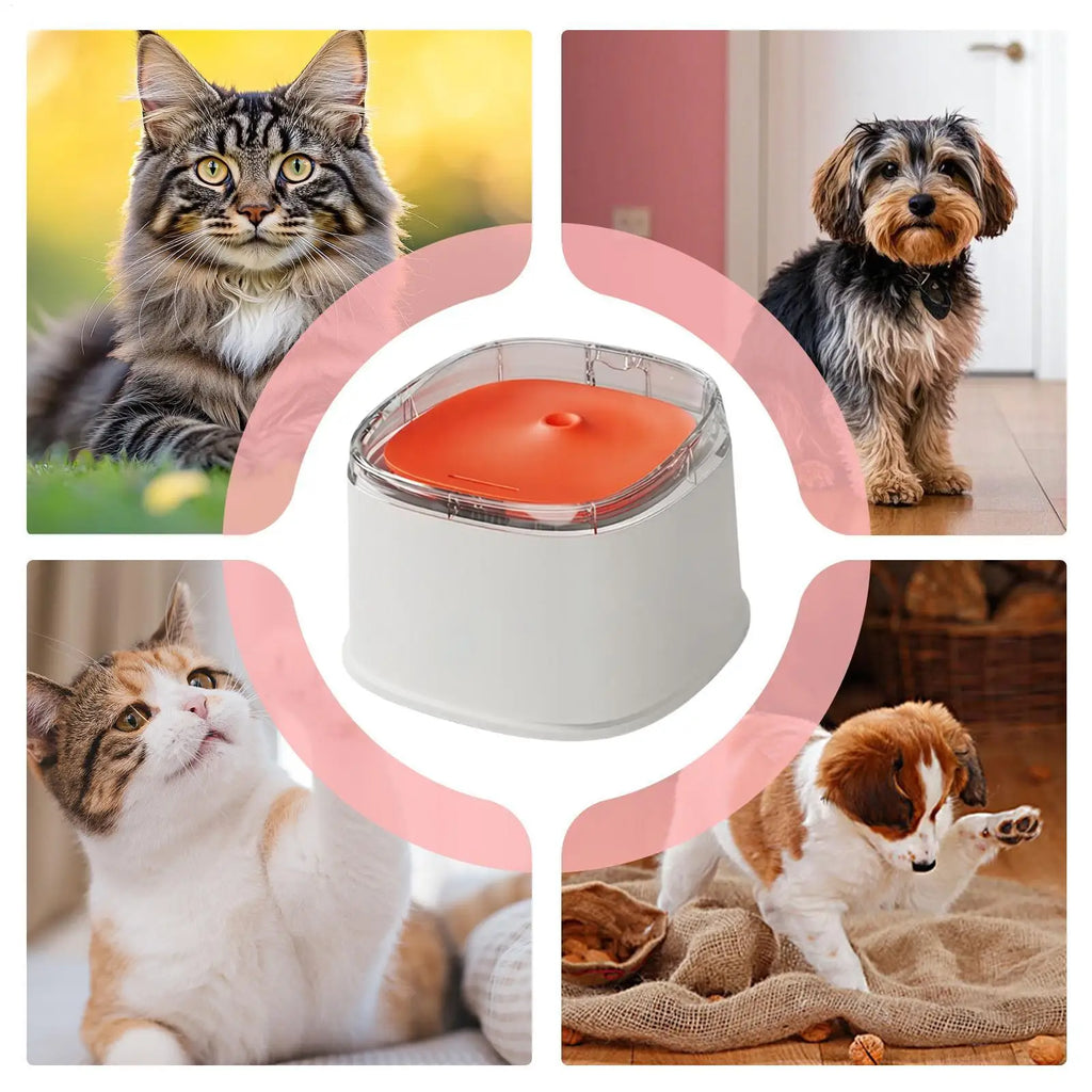 Quiet Automatic Cat Water Fountain 2.2L with Drip Pad & USB Cat Water Fountain Qme