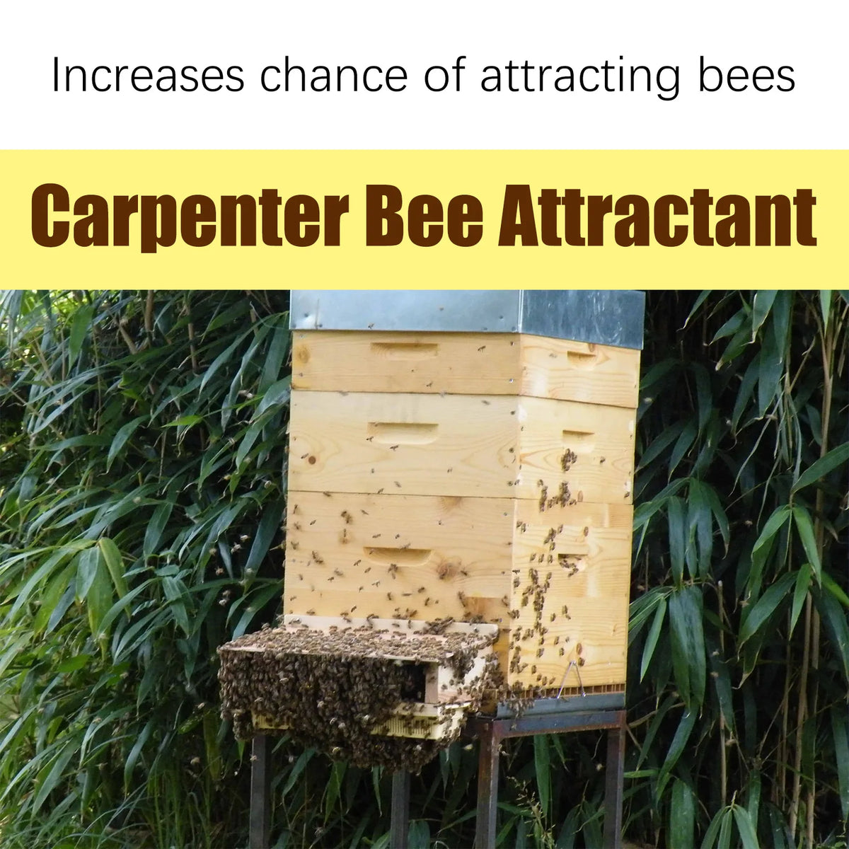 Bee Swarm Attractant Lure 60ml – Queen Pheromone Bait Beekeeping Attractant Qst
