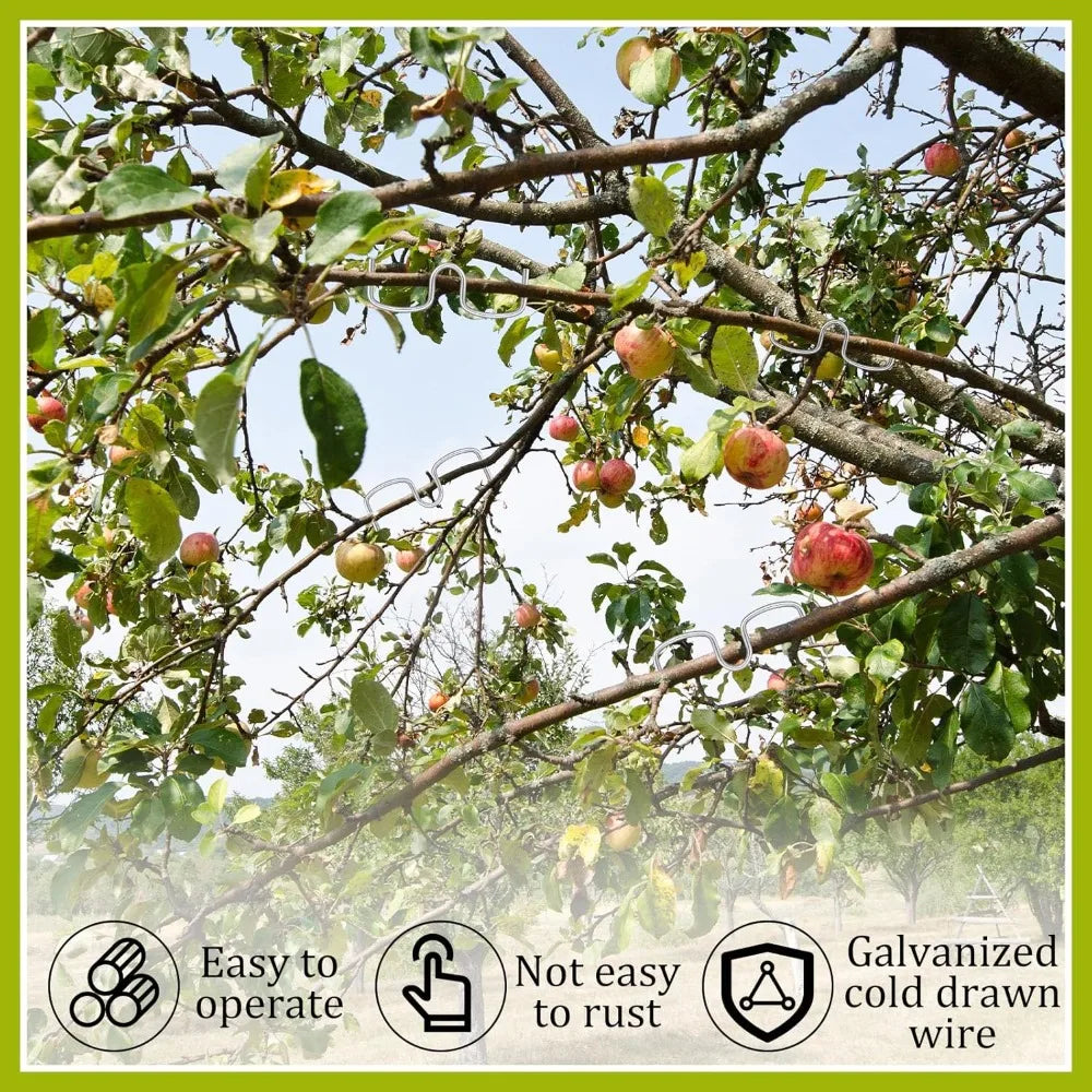 M-Type Fruit Tree Branch Trainers & Angle Benders – 10 Pcs Branch Training Tool Qme