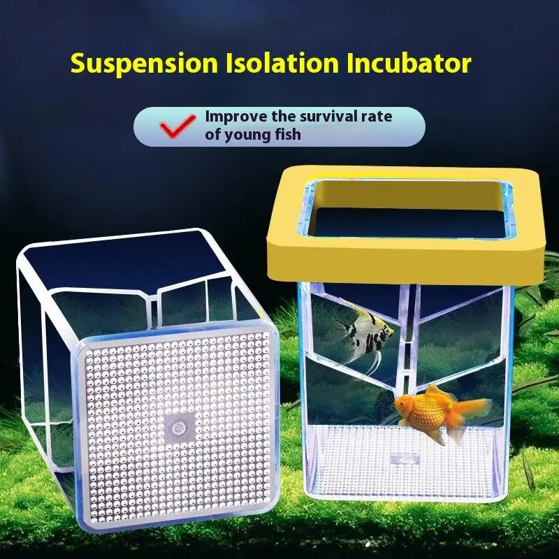 Transparent Floating Fish Breeding Isolation Box – Aquarium Fish Breeding Box Qst
