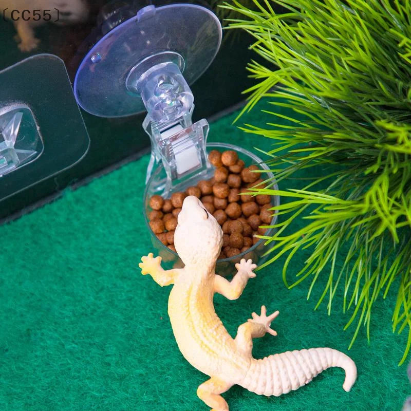 Reptile Suction Cup Feeding Bowl for Gecko, Lizard & Frog Reptile Feeder Bowl Qst