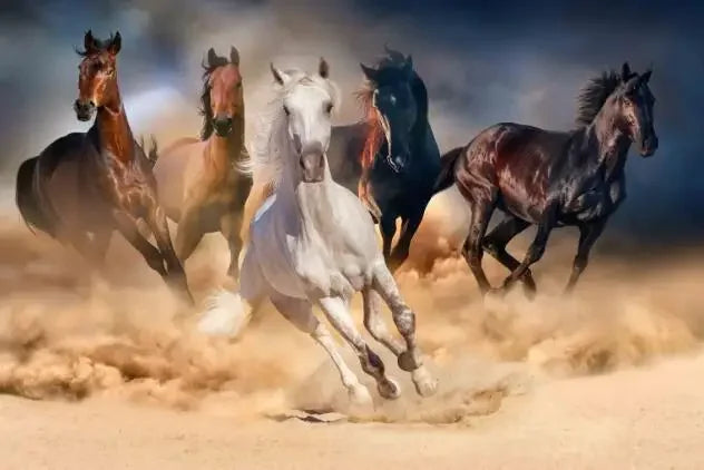 Wild Horse Running Canvas Wall Art – Modern Home Decor Print Canvas Wall Art Qst P7 30x40cm Unframed