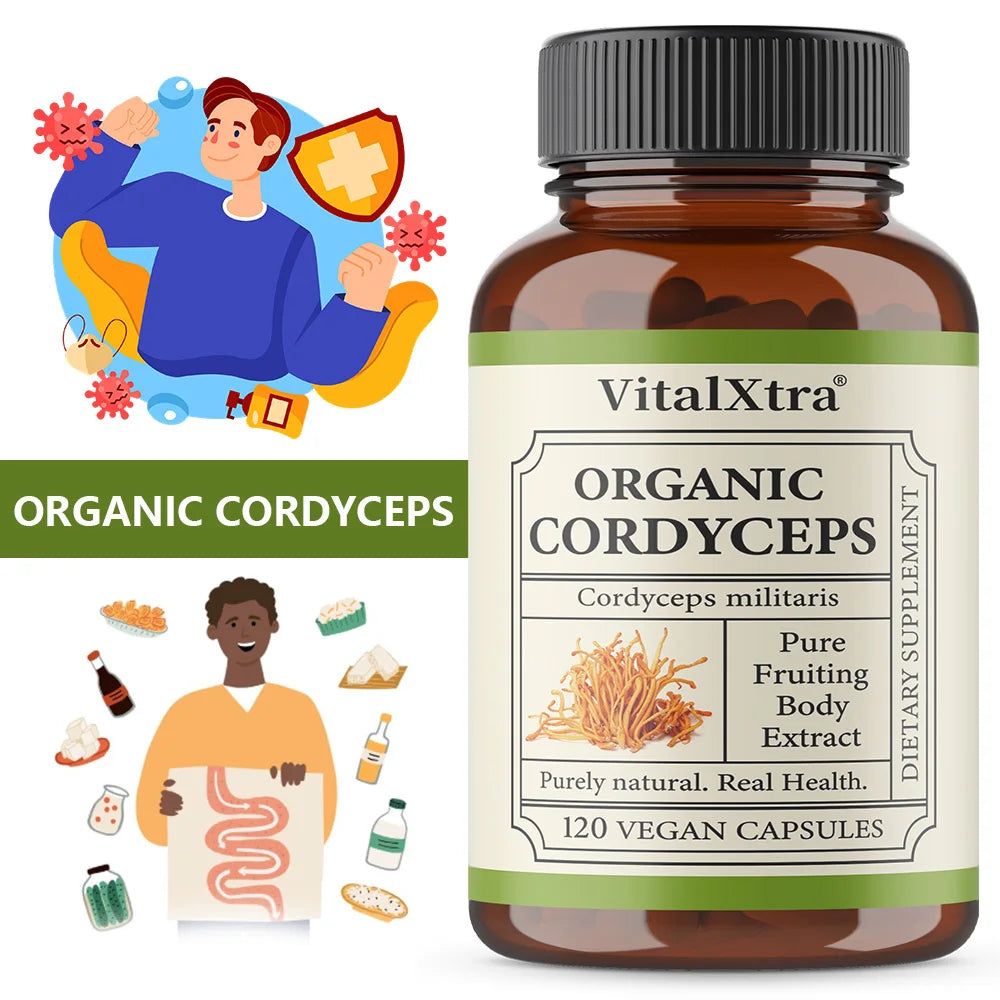 Organic Cordyceps Sinensis 1000mg – Energy & Endurance | 120 Caps Mushroom Supplement Qst