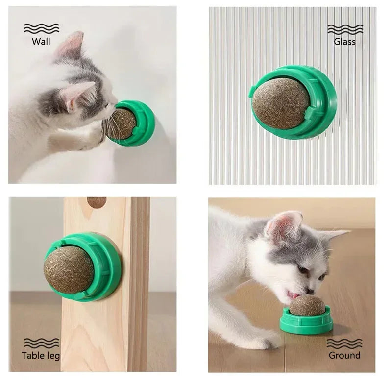 Catnip Wall Stick-On Ball Toy – Natural Cat Grass & Dental Cat Catnip Toy Qst