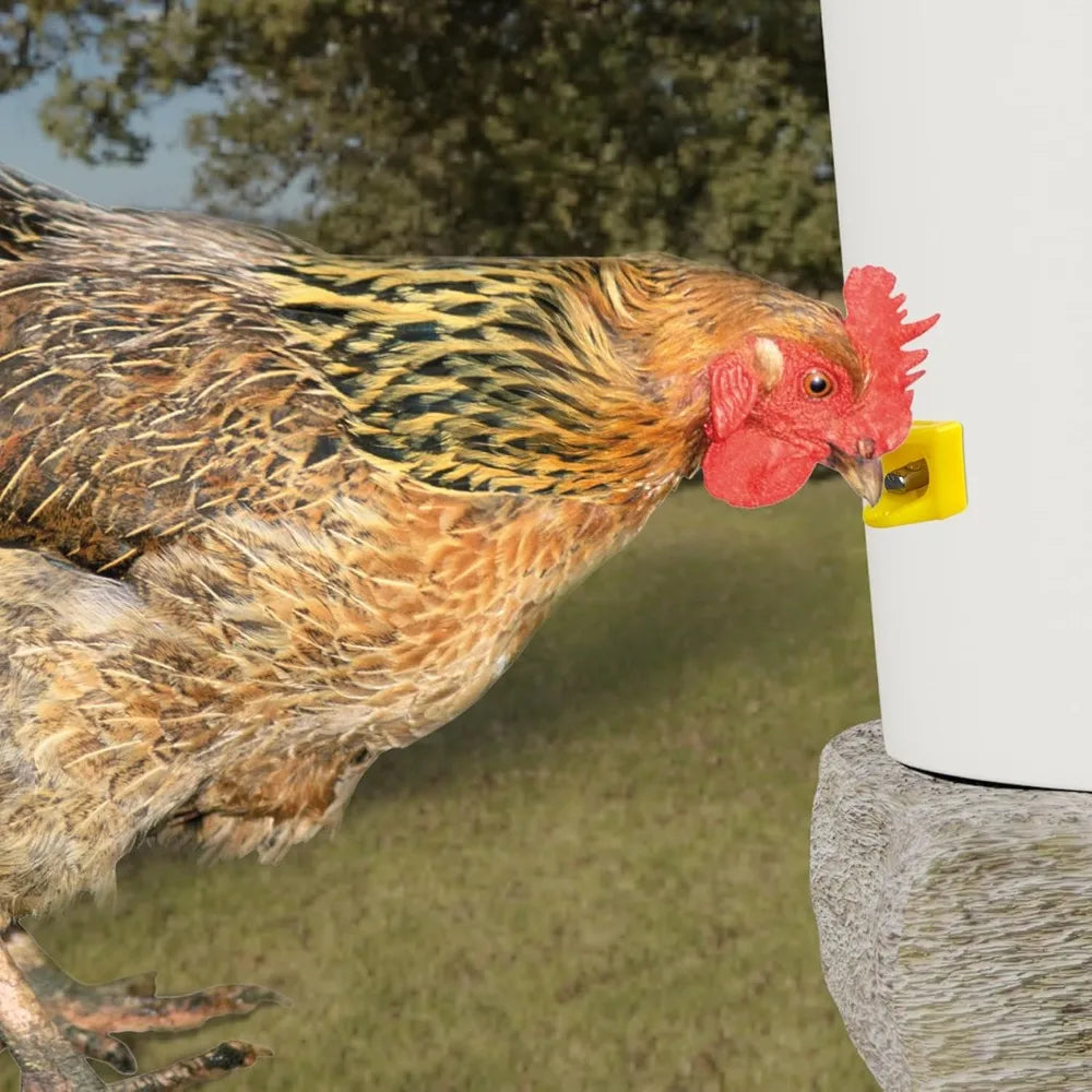 Chicken Automatic Water Dispenser – Easy Install, Leak-Free Poultry Water Dispenser Qme