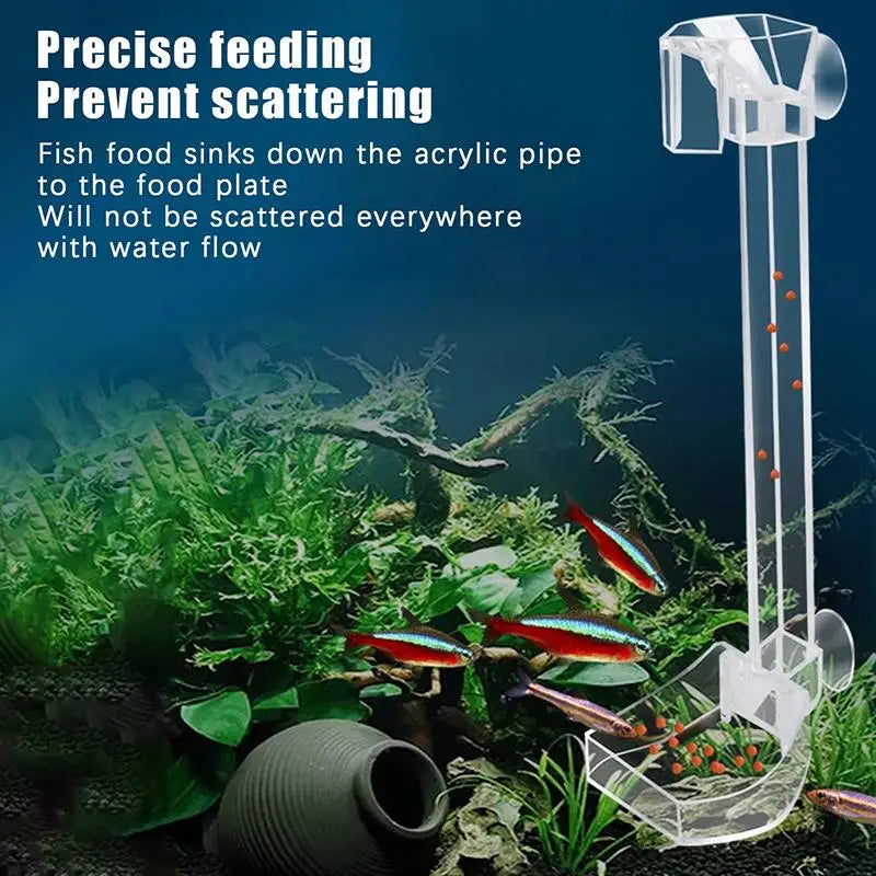 Aquarium Shrimp & Fish Feeding Dish with Brush & Spoon Aquarium Feeding Dish Qme