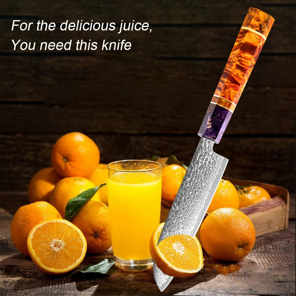 XITUO 5" Damascus Santoku Knife – 67-Layer VG10 Steel Chef Knife Damascus Chef Knife Qst