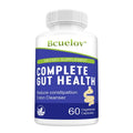 Gut Health Capsules – Senna Leaf, Ginger & Dandelion Root Digestive Supplement Qst 60 count-1 bottle