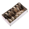 12 Pcs Mini Artificial Feather Birds for DIY Crafts & Garden Decor Decorative Bird Ornaments Qst B
