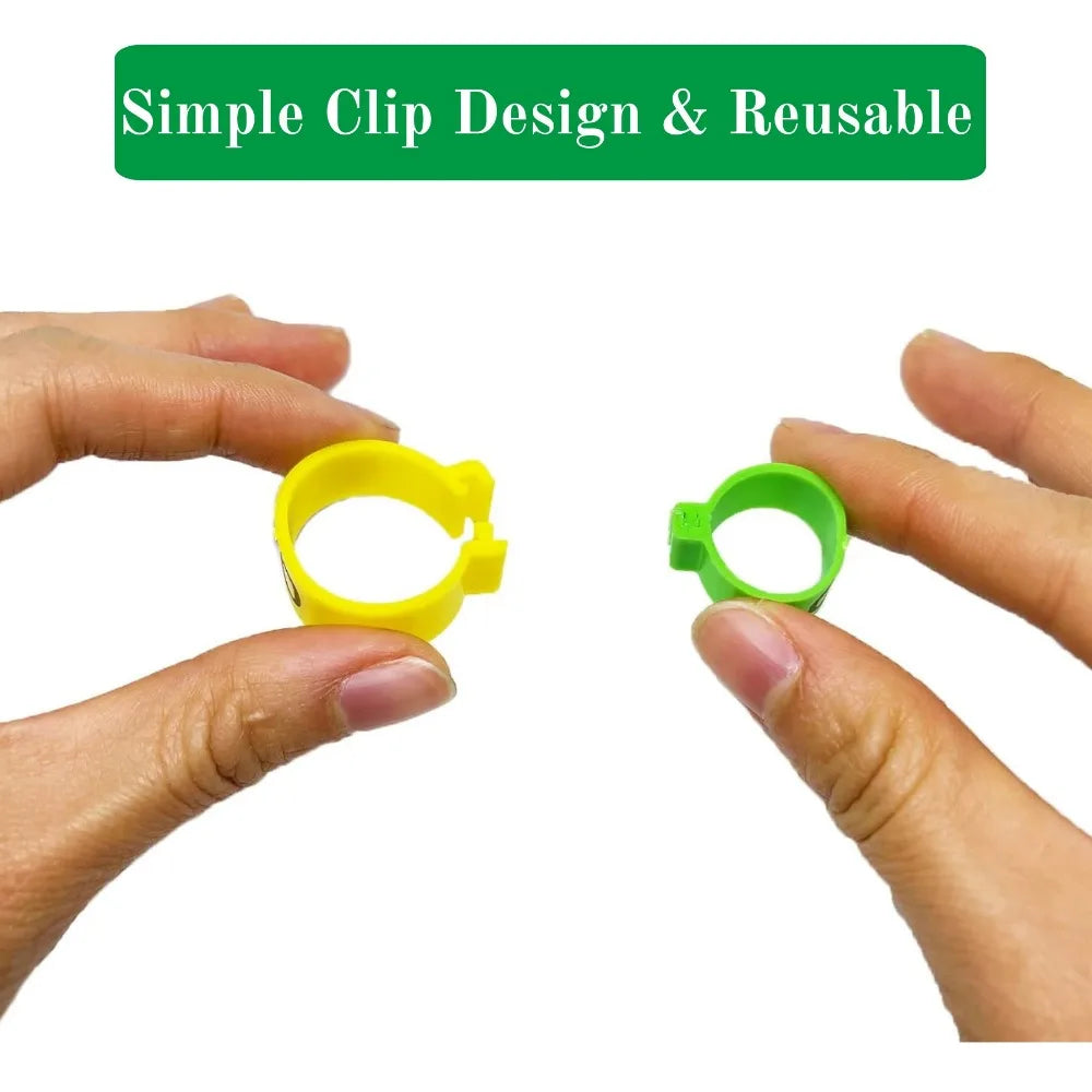 Numbered Multicolor Poultry Leg Rings for Chickens, Quail & Turkeys Poultry Leg Rings Qme