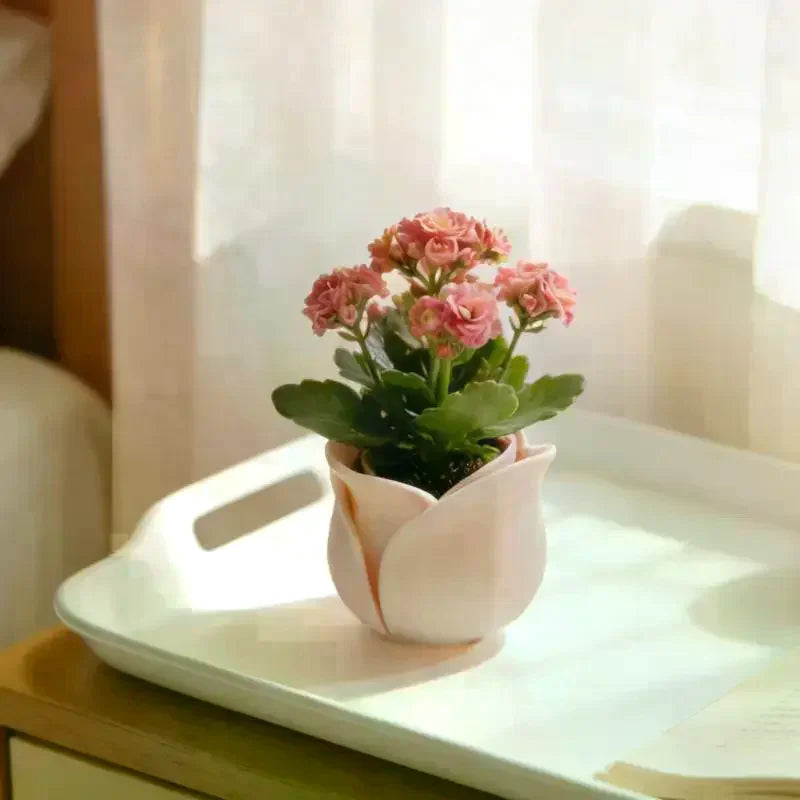 Rose Shape Mini Flower Pot – Creative Small Plant Pots Decorative Mini Planter Qme