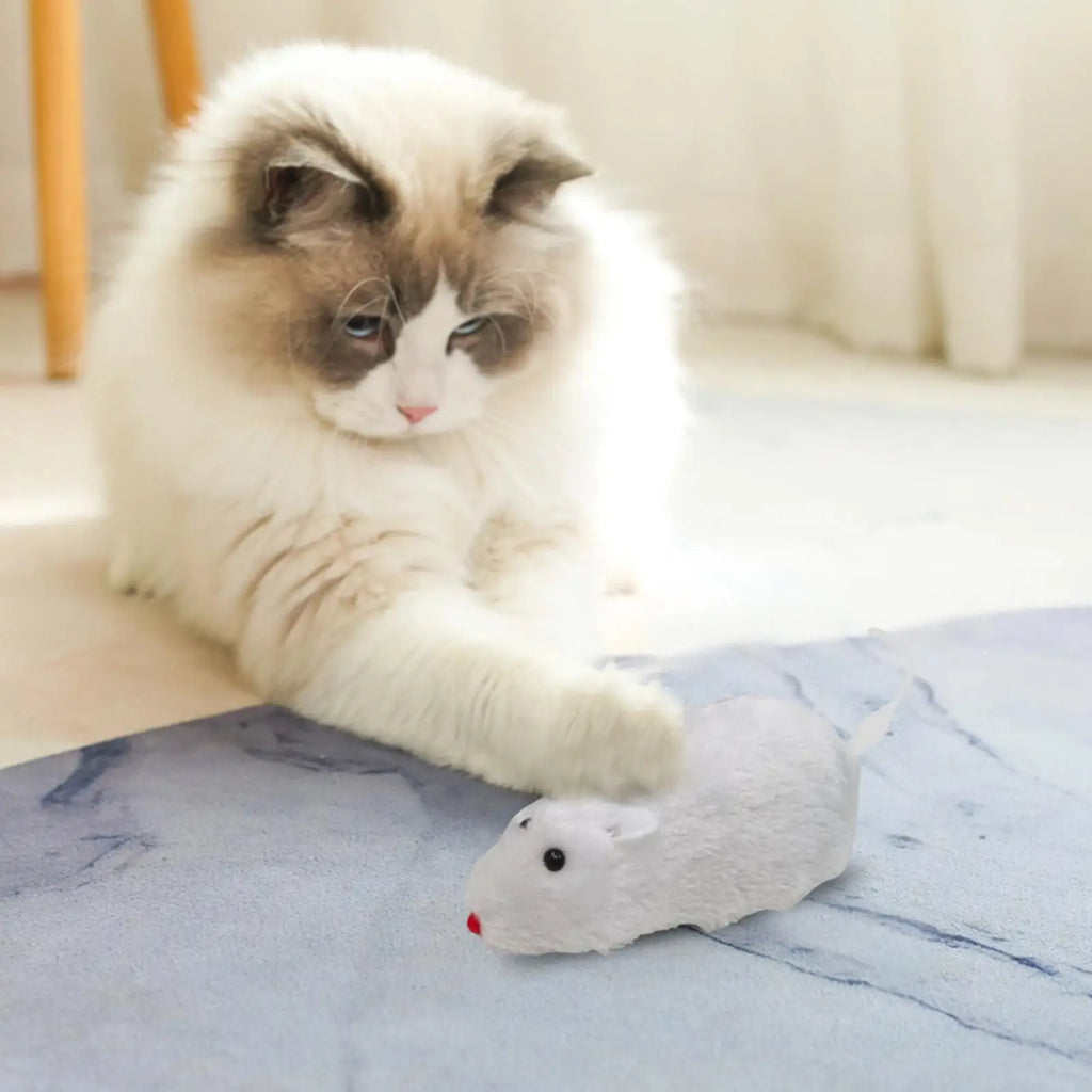 Wind-Up Mouse Cat Toy – Interactive Chasing Plush Kitten Toy Interactive Cat Toy Qme