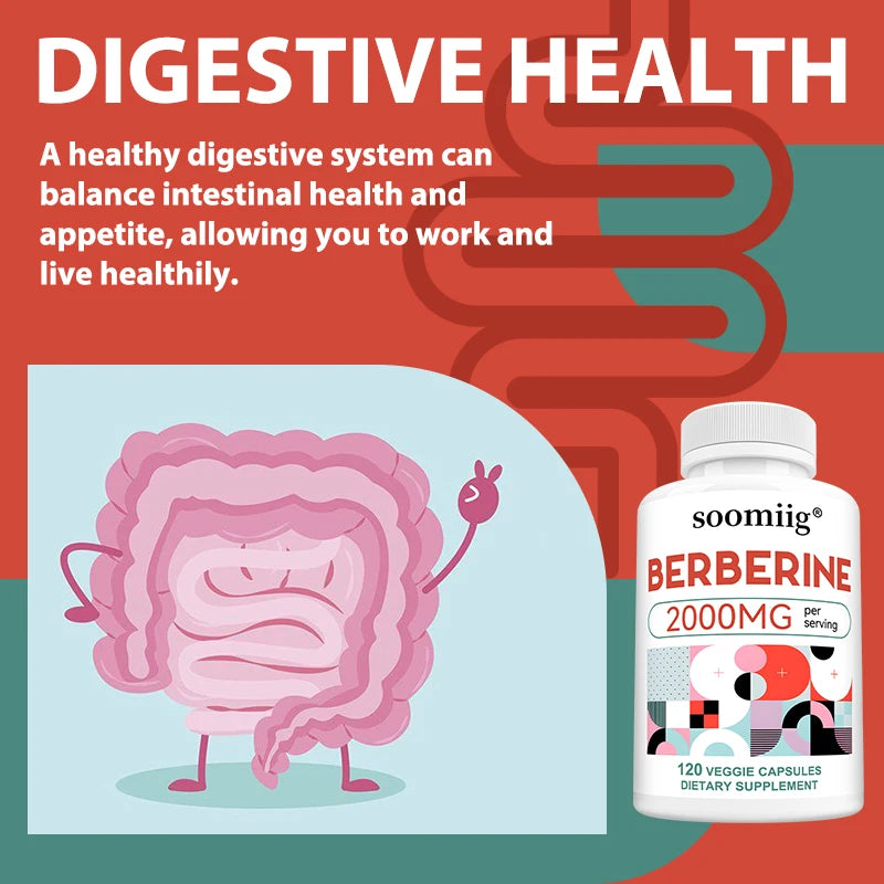 Berberine Extract Supplement 120 Capsules – Heart & Gut Health Herbal Supplement Qst