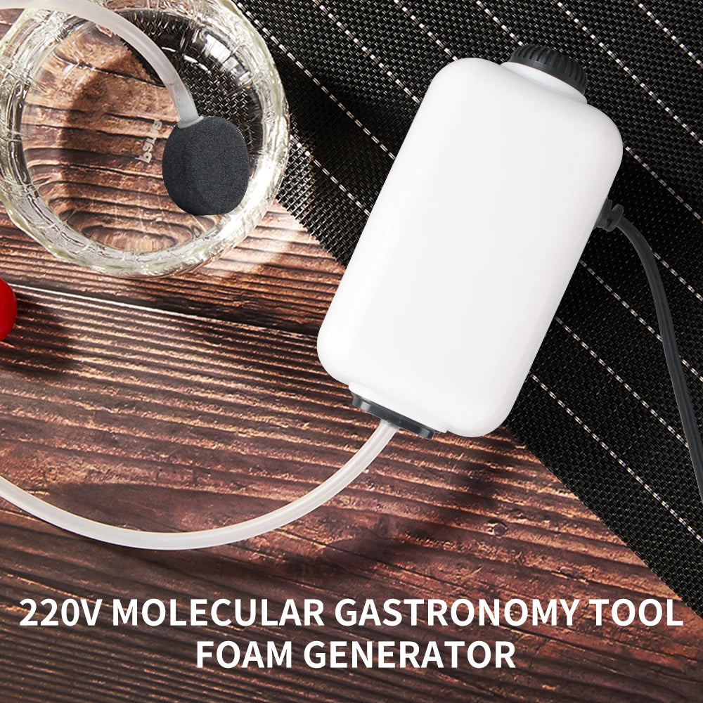 BORUIT Portable Food Foam Generator – Molecular Cooking Tool Food Foam Generator Qst
