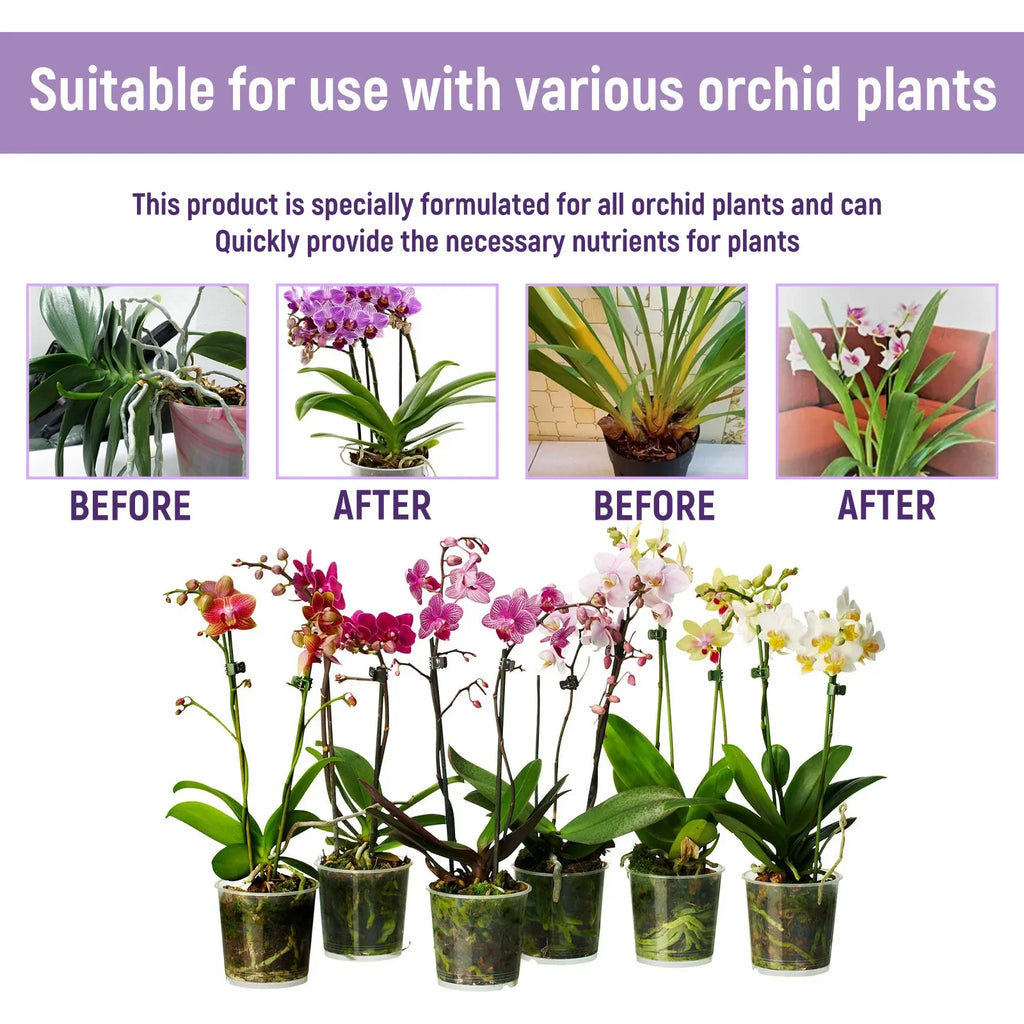 Orchid Liquid Fertilizer 50ml – Fast-Absorbing Plant Nutrient Liquid Plant Fertilizer Qst