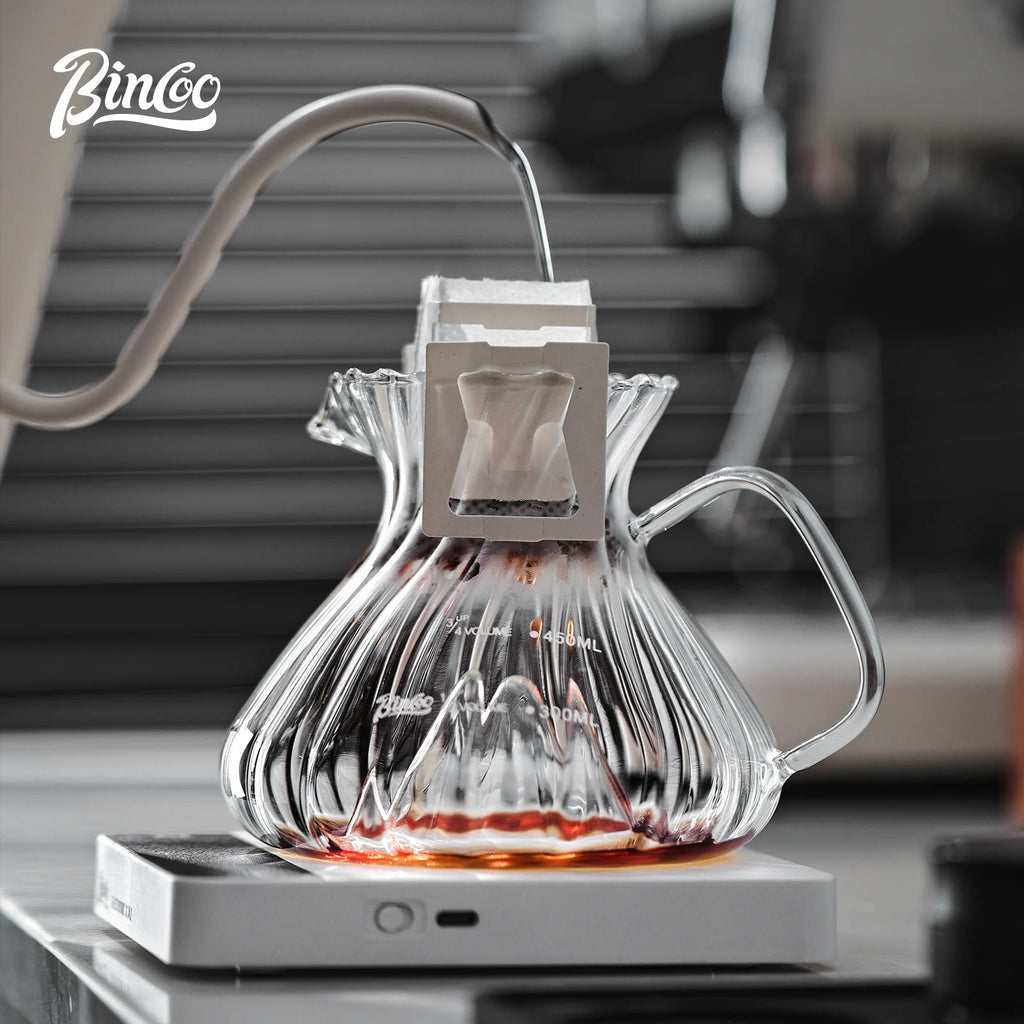 Bincoo Borosilicate Glass Pour Over Coffee Server Carafe Pour Over Coffee Server Qst