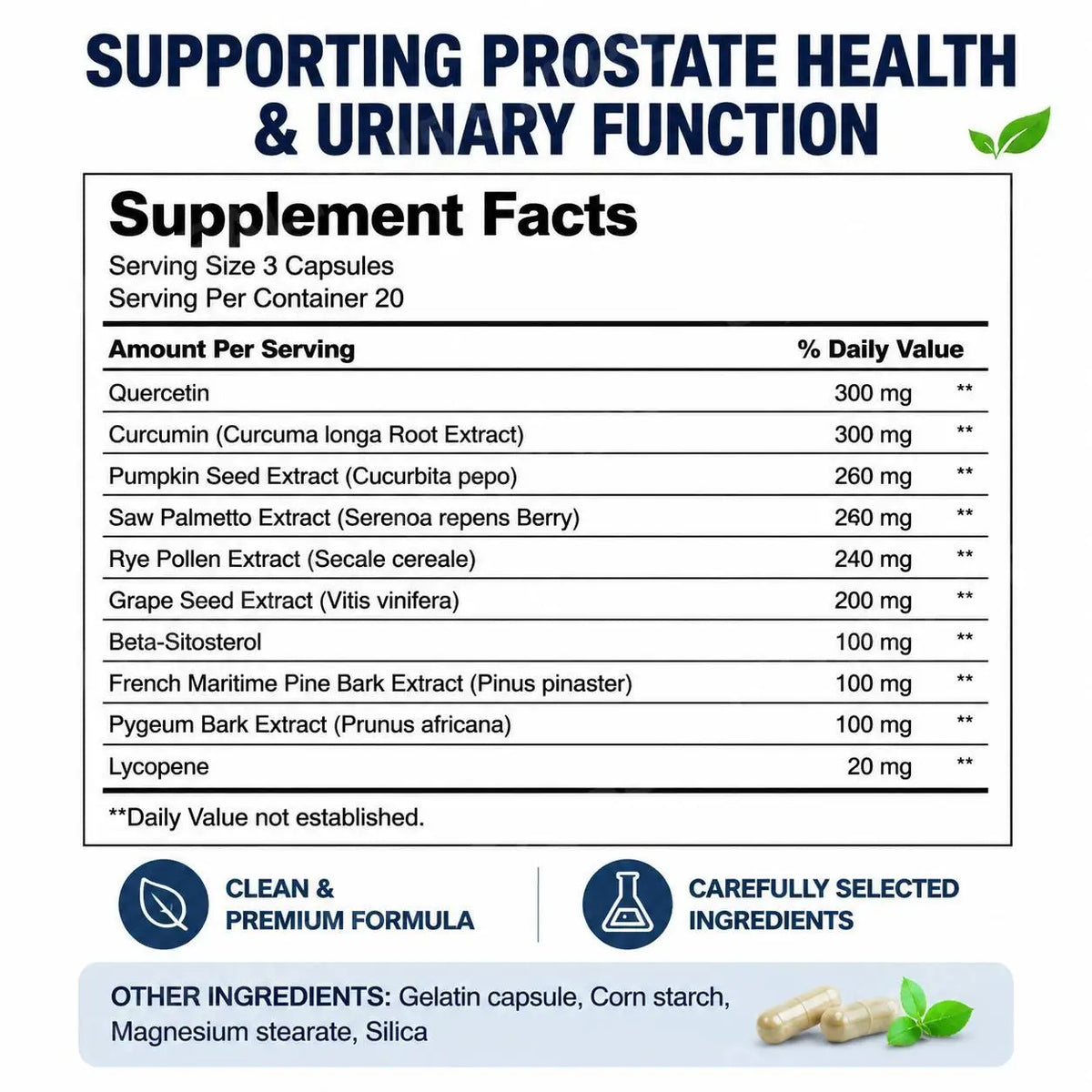Docteat FlowRevive Men's Quercetin Capsules – 60ct | Urinary Wellness Men's Wellness Supplement Qst